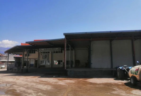 Cold Storage Facilities