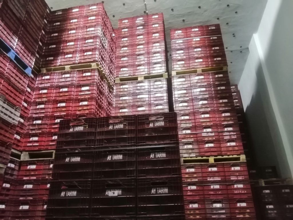 Cold Storage Facilities