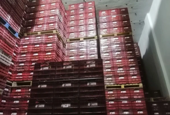 Cold Storage Facilities