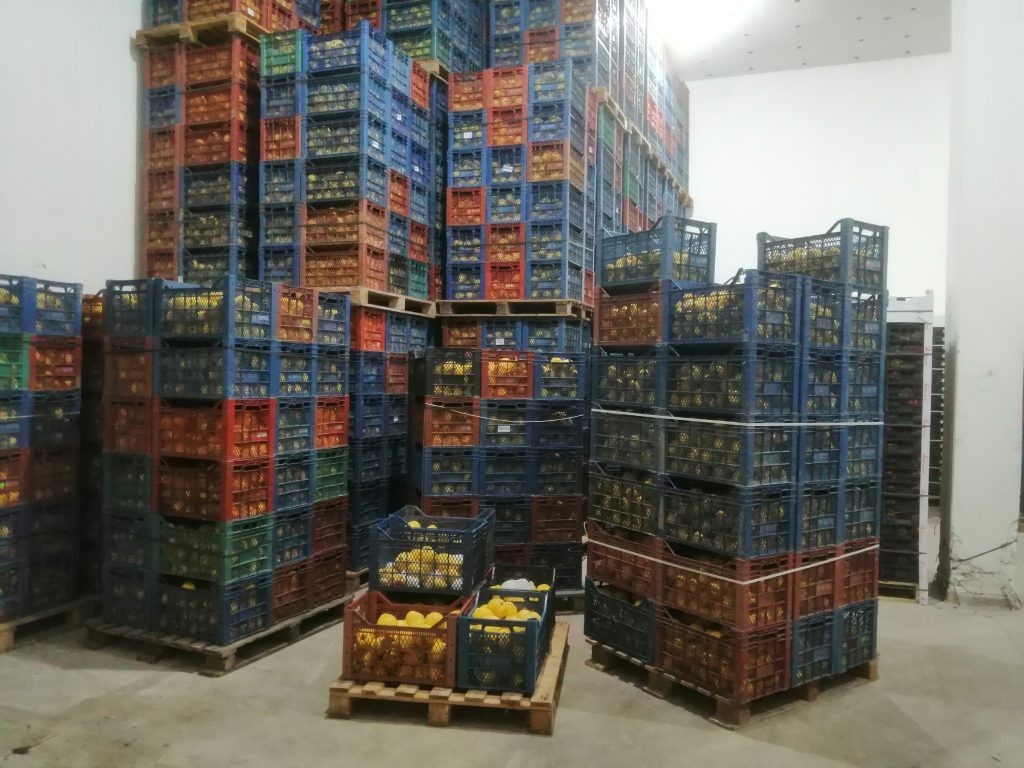 Cold Storage Facilities