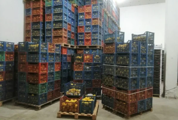 Cold Storage Facilities