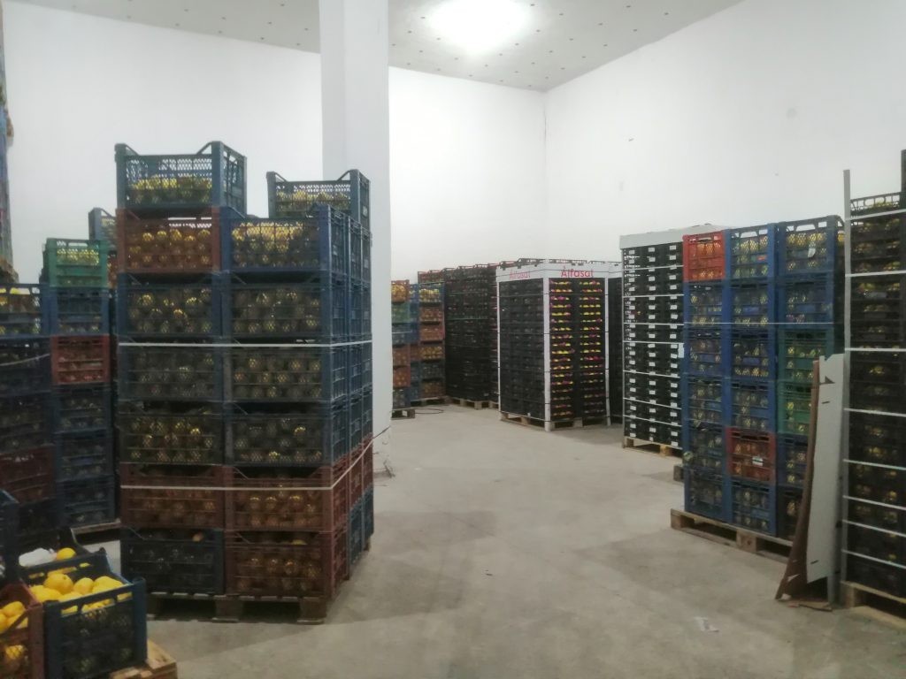 Cold Storage Facilities