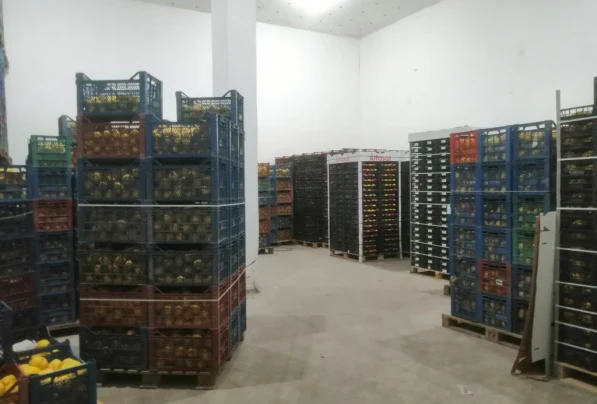 Cold Storage Facilities