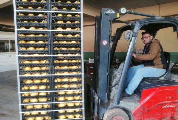 Cold Storage Facilities