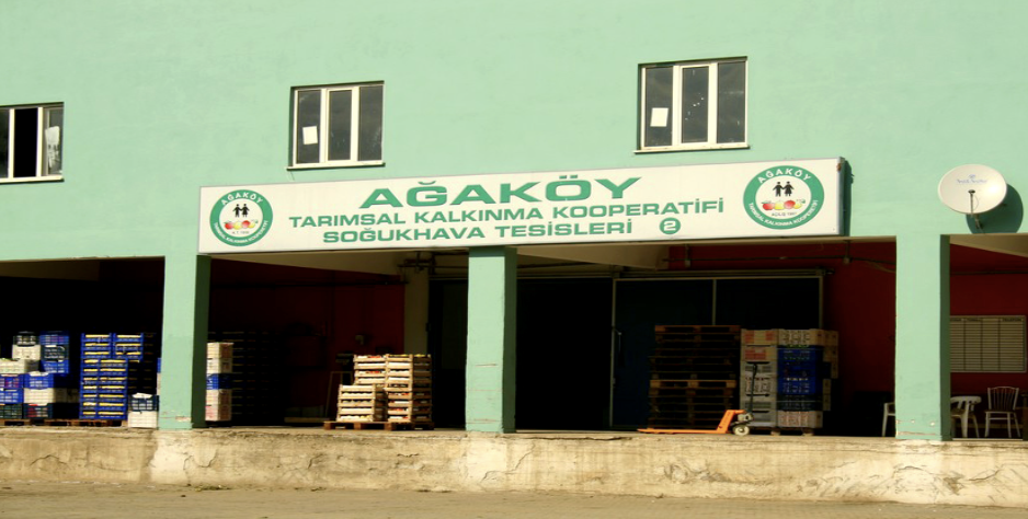 Soğuk Hava Deposu-2